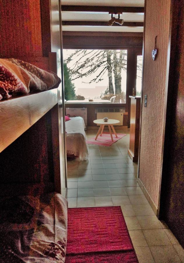 Studio Renove Jardin Et Vue - 4 Nuits Minimum Saint-Michel-de-Chaillol Eksteriør billede
